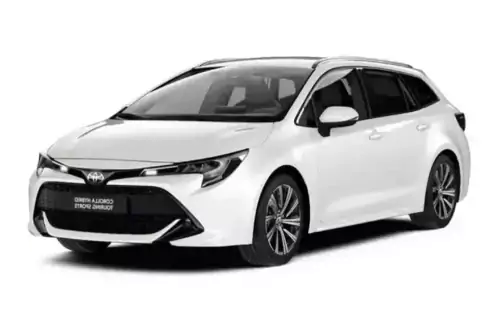 Group GCOA automatic